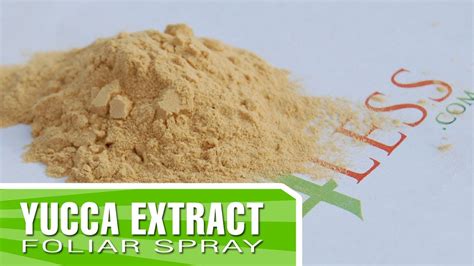 Nourishing Extract and why you don't need it!.